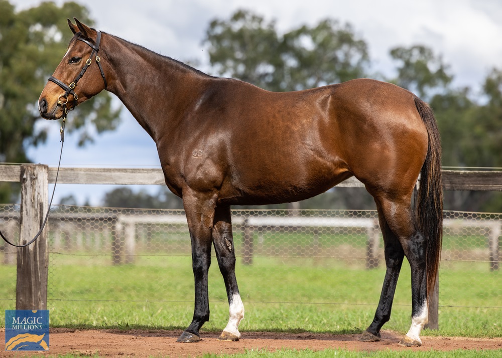 2021 Gold Coast National Broodmare Sale Lot 994 Redoute's Choice